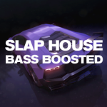 Slap House（スラップ・ハウス）／Bass Boosted House（ベース・ブーステッド・ハウス）とは – 音楽ジャンル